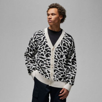 Chaqueta Jordan Flight Heritage con estampado de elefantes