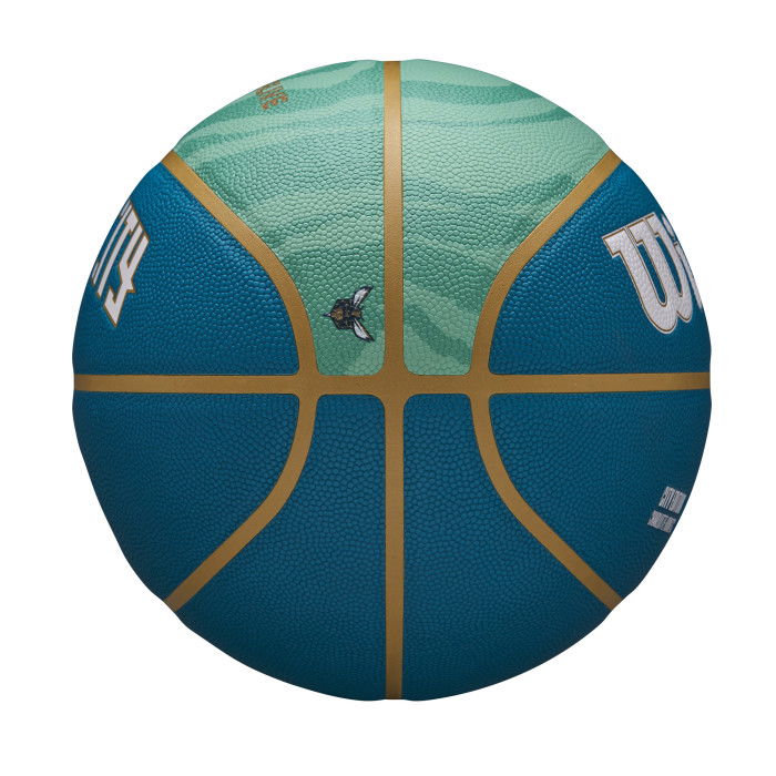 Wilson Ball Charlotte Hornets NBA City Edition