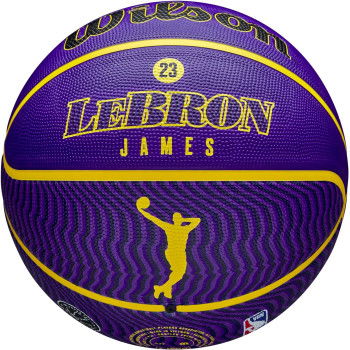 Ball NBA LA Lakers Lebron James Player Icon Wilson